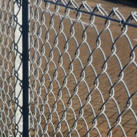 Elektrisch hoogbeveiligd roestvrijstalen erfhek ranch gegalvaniseerd PVC gecoat kettingmat diamantgaas Australië 6 voet