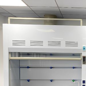 Hotte à fumées résistante à la corrosion pour les laboratoires de chimie humide manipulant des acides forts - Product Image 3