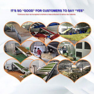 Equipo de secado automático a gran escala, secador de semillas de girasol, rosas y flores deshidratadas, hojas - Product Image 6