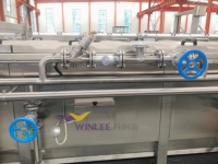 Petite machine de pasteurisation tunnel pour canettes alimentaires, pasteurisateur et refroidisseur de ketchup