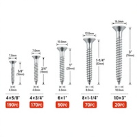 Panpal – Lot de 780 vis autotaraudeuses à tête fraisée pour bois, galvanisées argentées, avec boîte à outils polyvalente pour la construction et le bricolage