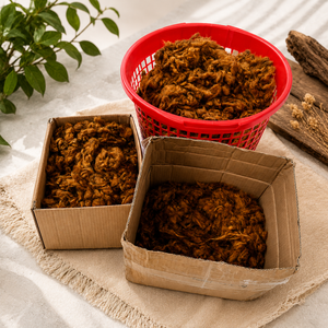 Fibre de rhizome de Cibotium Barometz séchée biologique Wild Harvest – Ingrédient botanique premium de qualité alimentaire pour l'exportation - Product Image 4