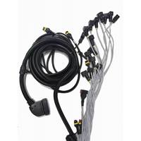 Kustom PVC terisolasi kabel kontrol listrik perakitan untuk peralatan pertanian pertanian kawat Harness