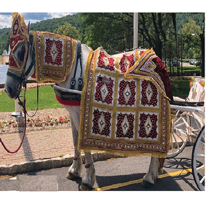 Trajes Tradicionales de Caballo para Baraat de Boda, Traje de Caballo Rojo para Baraat de Boda India, Decoración de Traje de Caballo para Baraat de Boda Hindú - Product Image 1