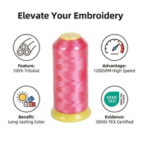 Fil à broder 100 % polyester en gros, 120D/2, poids 100g, fil haute résistance pour broderie industrielle informatisée