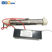 Générateur d'ozone à tube de quartz 1G/2G/3G Ozoniseur pour purifier l'air et l'eau O3 Spa Aquarium purificateur d'eau pour la maison DGOzone