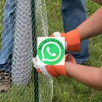 Grillage hexagonal en acier galvanisé à chaud, revêtu de PVC argenté, perforé, pour barrière anti-chute de pierres, clôture animale, soudage et pliage