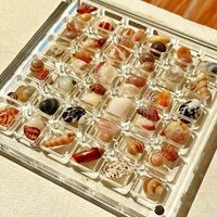 Boîte de présentation magnétique en acrylique à 36 compartiments pour coquillages – Boîte de rangement avantageuse pour coquillages