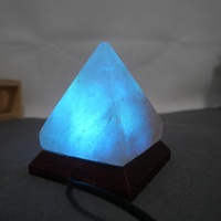 Lampe au sel de l'Himalaya en cristal naturel Lampe USB rose/blanche colorée écologique Base en bois Animal sculpté Décoration de Noël