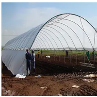 Serre polytunnel en promotion, couverture en film plastique, serre économique multi-travées pour la culture des myrtilles à vendre