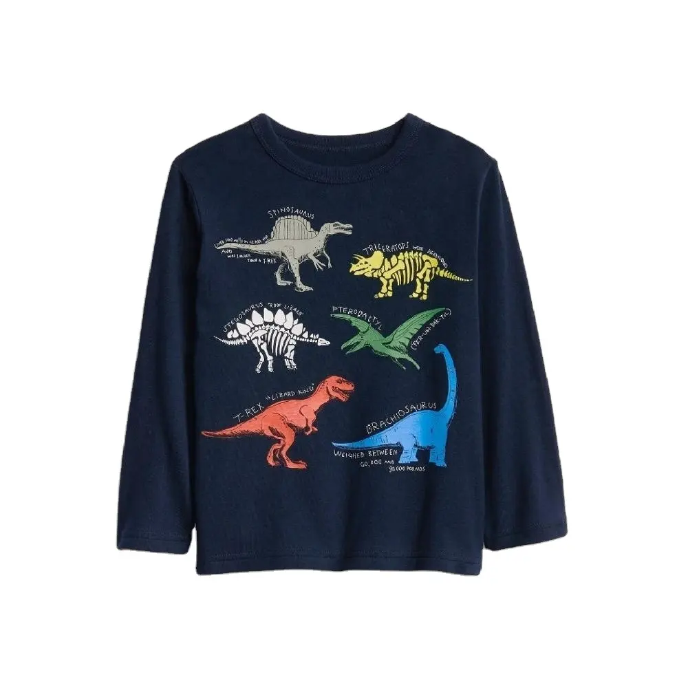 T-shirt à manches longues pour enfants, t-shirt avec motif Dino imprimé de dessin animé, pour garçons en bas âge, vêtements pour enfants