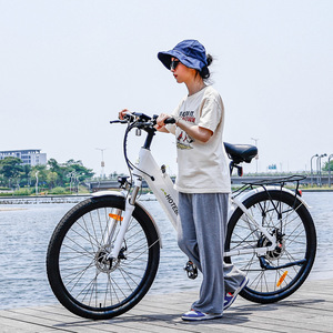 Vélo électrique chinois avec <span class=keywords><strong>moteur</strong></span> 250W, cadre en alliage d'aluminium 26'' 28'', batterie cachée 36V, vélo de ville, Europe - Product Image 2