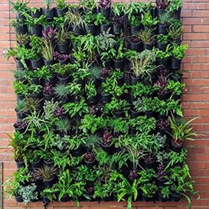 Jardinera Vertical con Sistema de Riego Automático para Jardinería Interior y Exterior, para Hierbas, Vegetales y Flores - Product Image 1