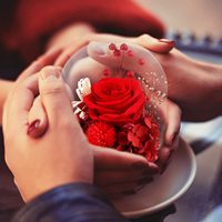 Coeur Boîte Réel Floraison Préservé Rose Babybreath Hortensia Pour Fleur Préservée Saint Valentin Fête Des Mères