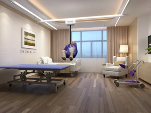 Peralatan rehabilitasi stroke langit-langit pasien langit-langit, sistem angkat peralatan berjalan kodok langit-langit latihan - Product Image 5