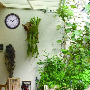 Personalizar 12 pulgadas Vintage cuarzo nórdico jardín <span class=keywords><strong>piscina</strong></span> al aire libre impermeable vintage <span class=keywords><strong>reloj</strong></span> con termómetro decoración Relojes de pared - Product Image 6