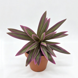Decoración DIY, Vegetación Artificial, Bambú, Dracaena, Planta de Plástico, Decoraciones para Bodas, Navidad, Pascua, Graduación - Product Image 6