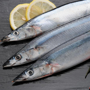 Groothandel Goede Prijs Bevroren Pacific Zwaardvis (Cololabis Saira) Goede Kwaliteit Bevroren Zwaardvis - Product Image 3