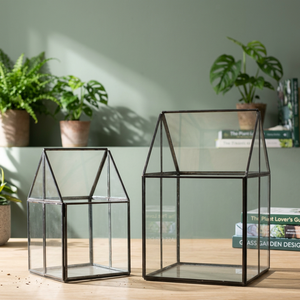 Geometric Glass Terrarium/Glass Terrarium for <b>Plant</b> Holderbox Jewelry Accessories Jewellery Boxes - Product Image 3