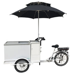 Tricycle électrique de vente à pédale, 500w, bon marché, congélateur Business, <span class=keywords><strong>vélo</strong></span>, glaces, chariots, <span class=keywords><strong>vélo</strong></span> - Product Image 4