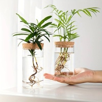 Accessoires de plantes de taille multiple résistants à la chaleur précipités maison et jardin poterie Pots de fleurs et jardinières Vases décoration Maison