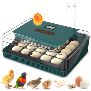 Compre en Línea Nueva Mini Incubadora de Huevos Automática de Alta Productividad para Uso Agrícola, con Capacidad para 25 Huevos de Gallina, Pato y Ganso - Product Image 4