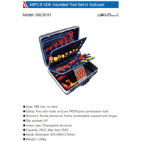 99LB101 Ensemble d'outils isolés VDE 48 pièces 1000V IEC 60900 Clé à molette Pince à épiler Tournevis Ensemble d'outils isolés dans une valise pour électriciens