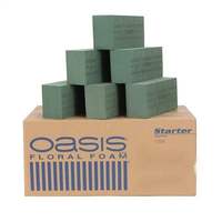 Oasis mousse florale Pathfinder Oasis carreaux de fleurs mousse Oasis fleur argile fleur fixateur mousse absorbante