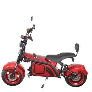 2023 Best Two Wheel Powerful Forward Horizon 2000W Long Range Delivery Electric Motorcycle