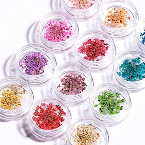 12 couleurs bricolage japonais <span class=keywords><strong>Nail</strong></span> <span class=keywords><strong>Art</strong></span> 3D plein ciel étoile conception plante naturelle inspirée fleur séchée décoration des ongles Style français - Product Image 3