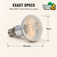 Lampe à vapeur de mercure auto-alimentée de haute qualité R80 80W, revêtement anti-UVB/UVA, ampoule en verre écologique LuckyHerp pour reptiles