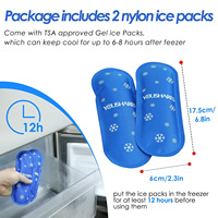 Sac isotherme portable personnalisé OEM/ODM pour insuline avec pack de glace réutilisable, sac isolant en EVA givré à fermeture éclair pour le rangement des stylos à insuline pour diabétiques
