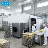 Fabrieksdirecte verkoop Elektrische Zoete Aardappel Warmtepomp Dehydrator Groente Droogmachine PVOC Gecertificeerd