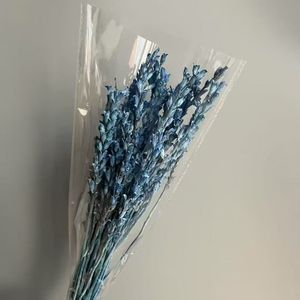 2025 Nuevo beleño conservado para decoraciones de bodas y decoraciones navideñas - Product Image 3