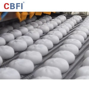 Спиральная быстрая морозильная камера Iqf, замороженные пельмени, промышленное холодильное оборудование, спиральная морозильная камера, цена - Product Image 6