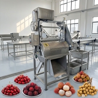 Machine automatique de dénoyautage de dattes, dénoyauteuse de dattes, machine de traitement des dattes, dénoyauteuse de graines de dattes, moteur en acier inoxydable 304