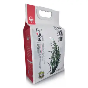 Compostable Ép Chất Liệu Nhựa Bao Bì Túi Bột Mì Resealable Side Gusset Túi Gạo Với Xử Lý