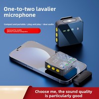 H12 Grenzüberschreitendes Neues Privatmodell Kabelloses Omnidirektionales Ansteckmikrofon USB Typ-C Telefon Outdoor Live-Streaming