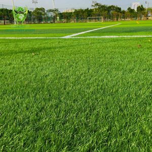 Terrain de football futsal, stade sportif, gazon artificiel vert, gazon <span class=keywords><strong>hybride</strong></span>, gazon synthétique, <span class=keywords><strong>pelouse</strong></span> épaisse avec trous de drainage - Product Image 4