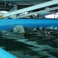 Réservoir de stockage d'eau brute boulonné en verre fusionné à l'acier Réservoir d'élevage de crevettes piscicoles