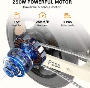 Vélo électrique <span class=keywords><strong>pliable</strong></span> ESKUTE F200 14 pouces, batterie 36V 7.8Ah, autonomie de 30 miles, mini vélo <span class=keywords><strong>pliable</strong></span>, moteur à moyeu arrière, support de téléphone, écran LCD - Product Image 2