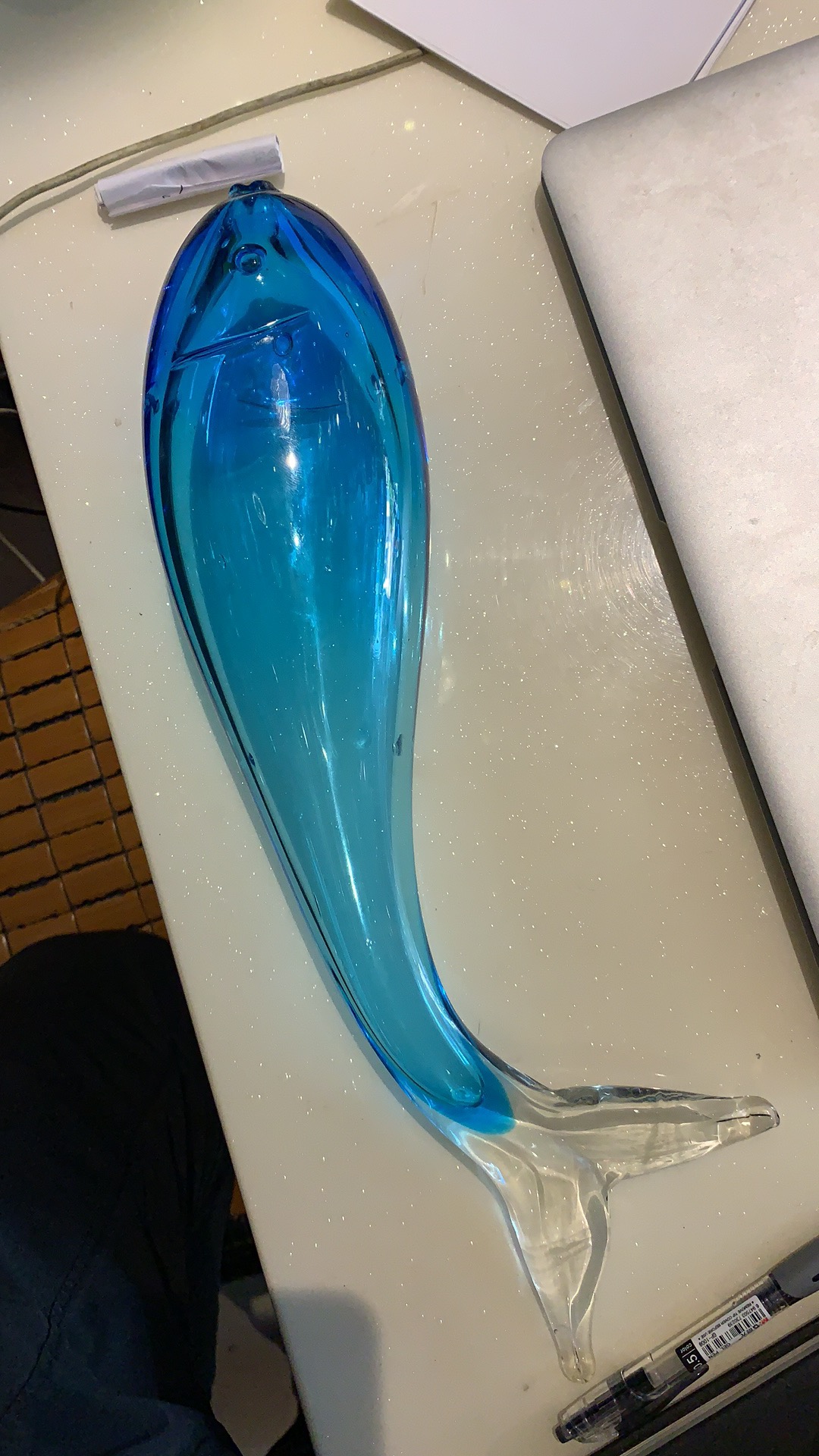 dolphin