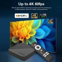 Mortal T1S Android 14 Smart TV Box H313 dengan IPTV Terintegrasi Siap Pakai NF, Perangkat Streaming Media OTT, WiFi Ganda, dan Pemutar Media 4K