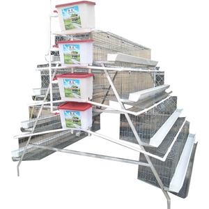 Marchés avicoles du Kenya, <span class=keywords><strong>cage</strong></span> de capacité 160 oiseaux, <span class=keywords><strong>cage</strong></span> à poules pondeuses <span class=keywords><strong>d</strong></span>'<span class=keywords><strong>occasion</strong></span> pour 5000 oiseaux, petites exploitations - Product Image 1