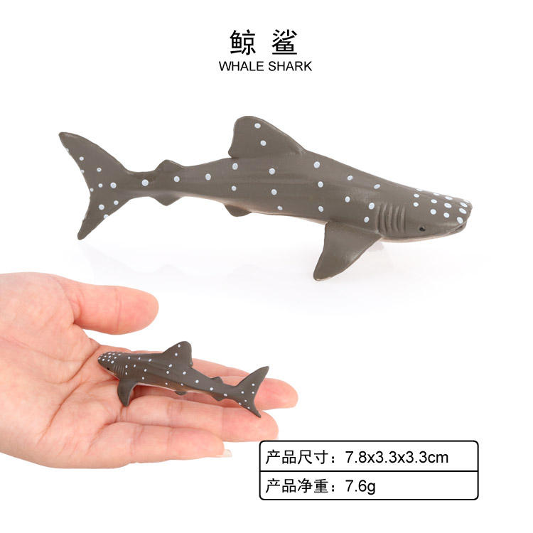 Tiburón Ballena de 2002