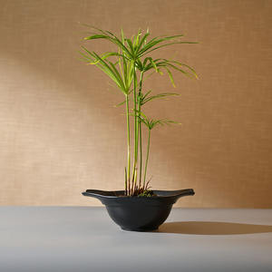 Disque en céramique émaillée de style japonais pour arrangement de fleurs, décoration d'intérieur rétro et plateau à eau d'<span class=keywords><strong>apprentissage</strong></span> pour débutants, <span class=keywords><strong>pot</strong></span> à fleurs - Product Image 2