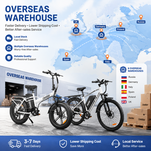 Chamrider DT450 Prêt à être expédié Vélo électrique à pneus larges de 20 pouces avec batterie amovible longue portée 48V 50ah pour la <span class=keywords><strong>livraison</strong></span> de nourriture - Product Image 6