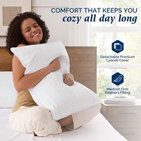 Oreiller en plumes et duvet d'oie - Oreiller de luxe LYOCELL pour hôtel, idéal pour le soutien du cou, adapté aux dormeurs sur le dos, sur le ventre ou sur le côté, écologique