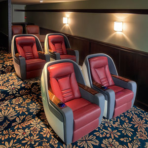 كرسي كهربائي حديث لمحركات OKIN ، فيلم خاص ، مسارح منزلية عالية الجودة ، مقعد USB للفنادق - Product Image 2