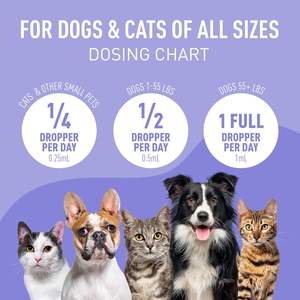 טיפת שמן שולי הסיטונאי לכלבים וחתולים תוסף שמן לחיות מחמד עם ויטמין להקל על חרדה ומתח - Product Image 2